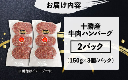 牛肉ハンバーグ 900g ハンバーグ [BNAM031]