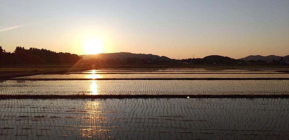 令和7年産先行予約　無洗米　魚沼産コシヒカリ特別栽培米　5kg