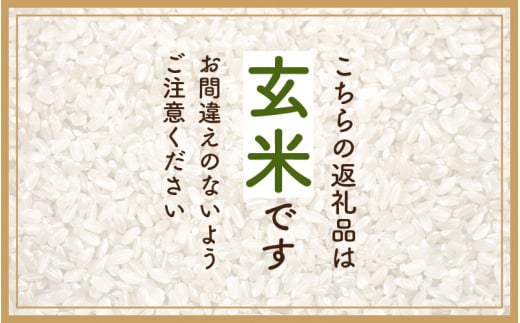 ハナエチゼン 5kg 令和6年 新米 福井県産【玄米】【お米 はなえちぜん 華越前 5キロ】 [e30-a066]