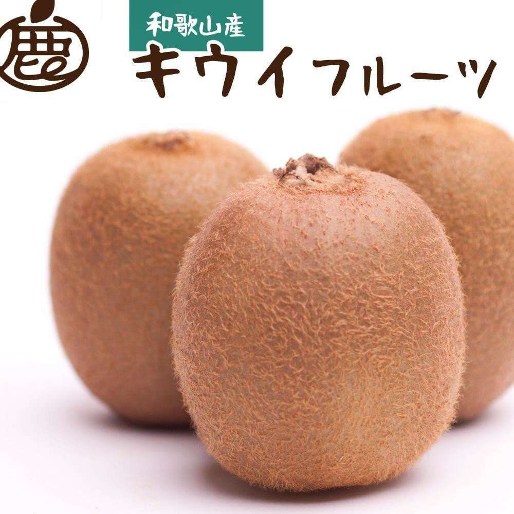【ふるさと納税】【選べる容量】［先行予約］厳選 キウイ（0.5kg～5kg）+250g（傷み補償分）［扁平果］ | キウイ フルーツ 果物 くだもの 食品 人気 おすすめ 送料無料