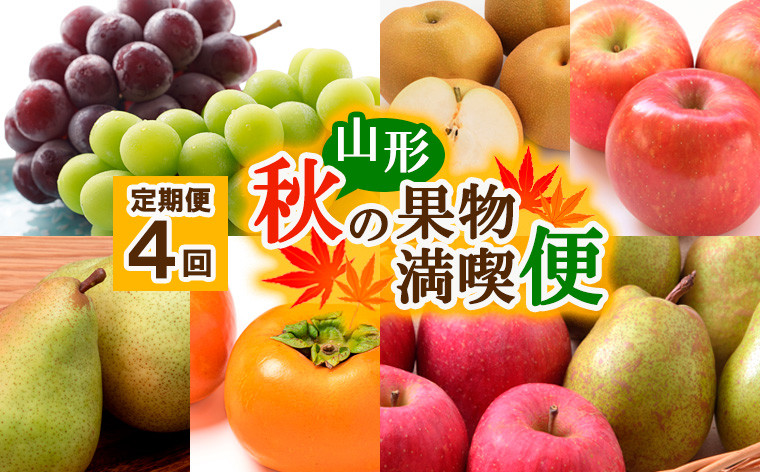 
            【定期便4回】山形秋の果物 満喫便【令和7年産先行予約】FS24-614くだもの 果物 フルーツ 山形 山形県 山形市 2025年産
          