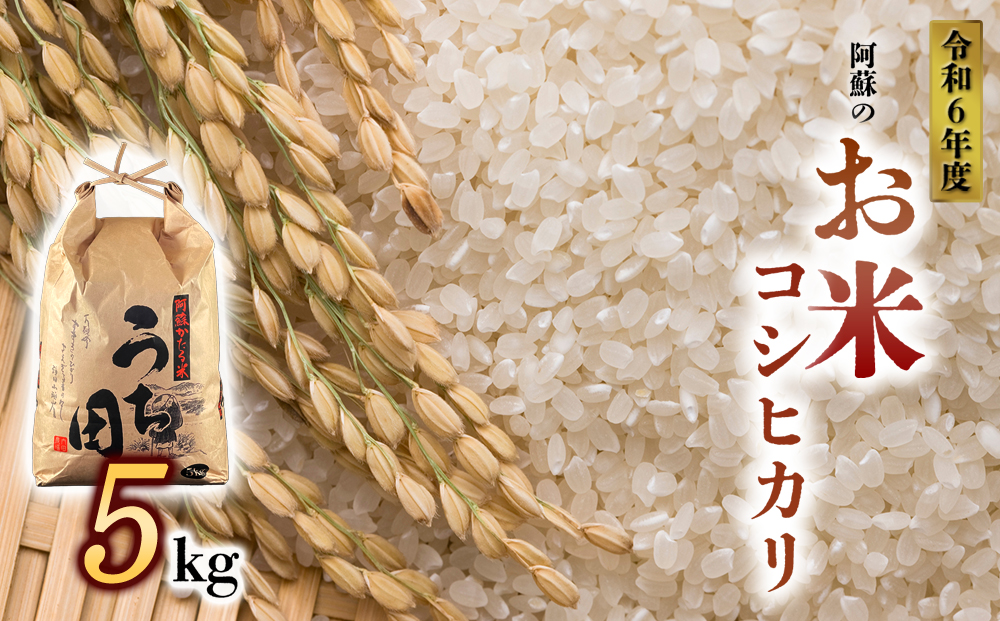 【令和6年度】 内田農場の新米 コシヒカリ 5kg 1袋 白米 お米 人気 美味しい 白ご飯 こだわり 農業 甘味 香り ツヤ お米の王様 熊本県 阿蘇市