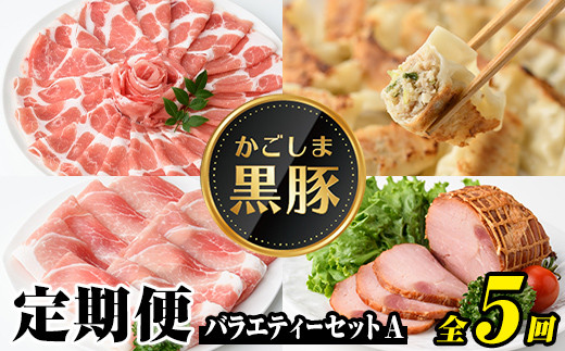 
            E02006 ＜定期便・全5回(毎月)＞バラエティーセットA！鹿児島 国産 九州産 黒豚 豚肉 バラ ロース 肩ロース モモ スライス しゃぶしゃぶ とんかつ 焼豚 叉焼 餃子 ぎょうざ 干し芋 干芋 バラエティ 冷凍 セット 【和田養豚】
          