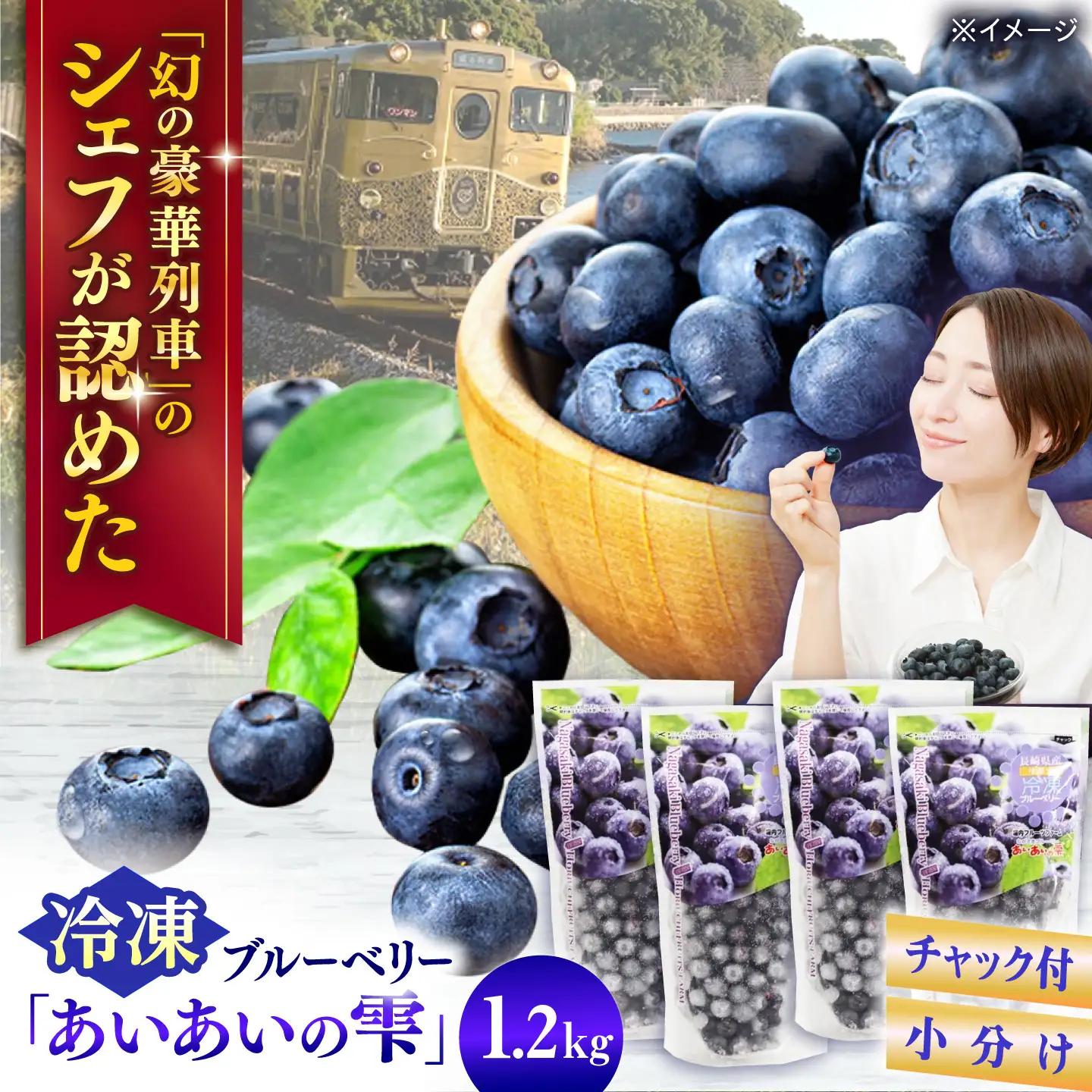 冷凍ブルーベリー 計1.2kg フルーツ ベリー 果物 小分け QAT017