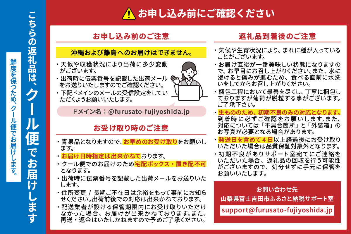 【2027年発送 先行予約】【2回定期便】厳選 旬のフルーツ定期便（桃2kg・シャインマスカット1kg以上）