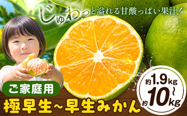 
                  みかん 訳あり 1.9kg~10kg 極早生 早生 ご家庭用 サイズ不選別 お試し 大容量 選べる内容量 約1.9kg 約5kg 約10kg《11月上旬-12月初旬頃出荷》徳島県 佐那河内村 わけあり みかん 柑橘類 わけありフルーツ 果物 フルーツ お取り寄せフルーツ
                