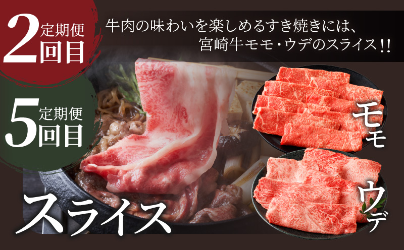 6か月お楽しみ定期便『宮崎牛よくばりセット』総重量4.8kg 肉 牛 牛肉 おかず 国産_T030-1843