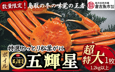 【倉吉魚市】五輝星ボイル松葉がに（超特大1.2kg以上）数量限定品 カニ 蟹 ボイル 新鮮 松葉ガニ ズワイガニ 五輝星