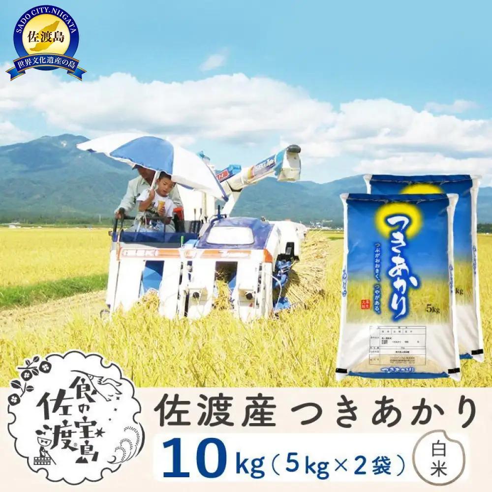 佐渡島産つきあかり 白米10Kg（5Kg×2袋） 令和7年 ～農薬5割減～農家直送