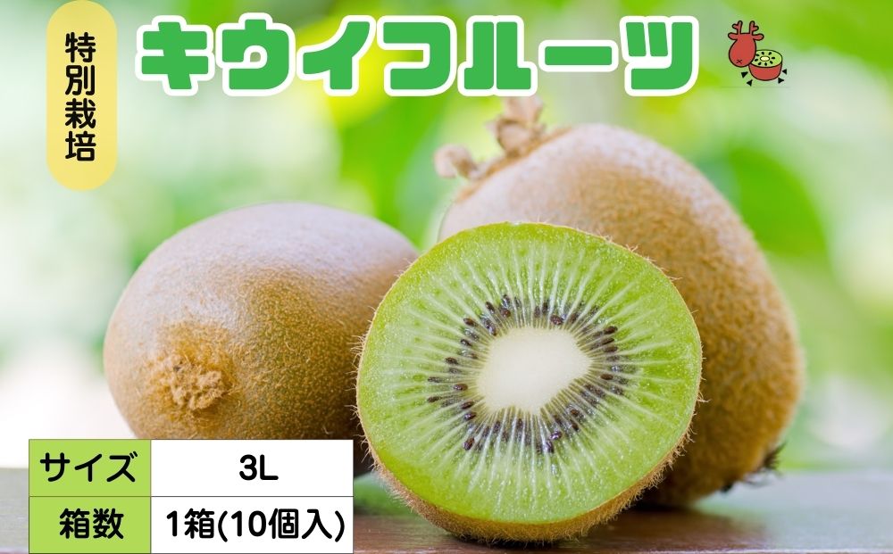 ＜12月以降順次発送＞プレミアム キウイ フルーツ 3L サイズ 10個入 追熟処理済 ／ ふるさと納税 キウイ キウイフルーツ ギフト 栄養 果物 お土産 化学肥料不使用 特別栽培 塩 奈良県 宇陀市 やまとファームJAPAN