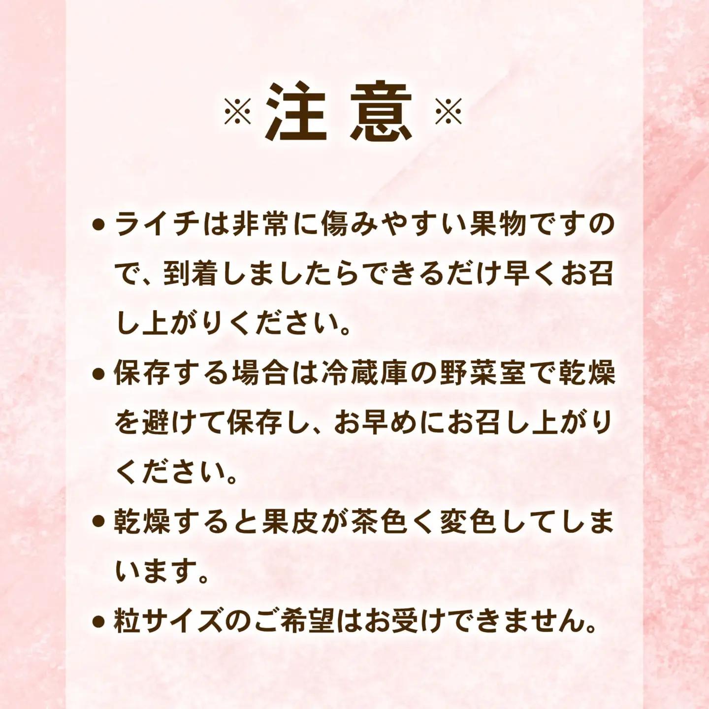 【令和8年6月頃より発送】先行予約 生ライチ 国産 室戸海洋深層水使用 ライチ 果物 フルーツ 化粧箱入り 贈答用