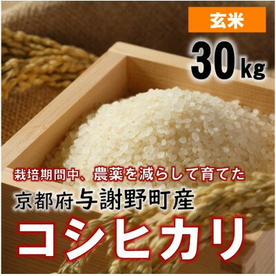 【ふるさと納税】令和7年産米　京都丹後産コシヒカリ　玄米30kg　栽培期間中、農薬を減らして育てたお米【1682145】