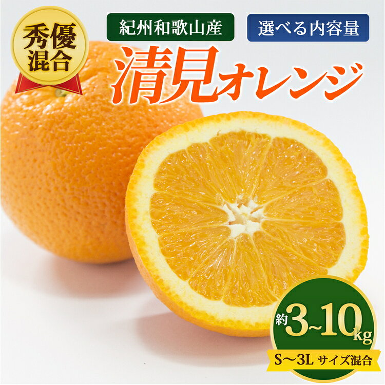 【ふるさと納税】＼選べる内容量／【秀優混合】紀州和歌山産 清見オレンジ 約3～10kg S～3L サイズ混合