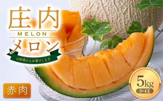 【2026年発送 先行予約】庄内メロン赤肉 3～4玉 5kg FSY-1020