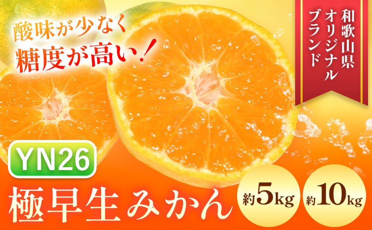 
                  【先行予約】極早生みかん YN26 選べる 約5kg 約10kg マルツネ農園《9月下旬-10月下旬頃出荷》 和歌山県 日高川町 旬 果物 みかん 蜜柑 フルーツ 柑橘 産地直送
                