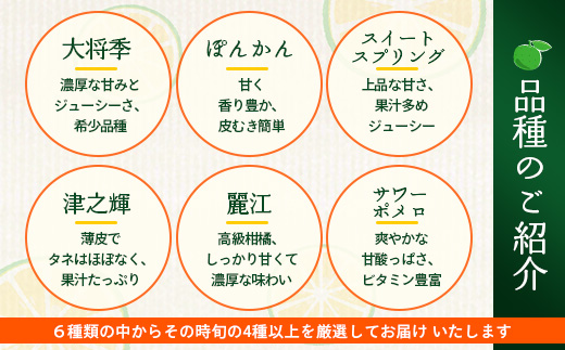 【数量限定】おたのしみ！旬の柑橘詰め合わせセット(４種約５kg) NK-4｜果物 柑橘 大将季 ぽんかん スイートスプリング 津之輝 麗江 サワーポメロ 南大隅町 産地直送 詰め合わせ 5kg 国産 