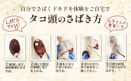 【訳あり】北海道羽幌産 刺身用たこ頭 1～2個入（700g～800g）【冷凍】