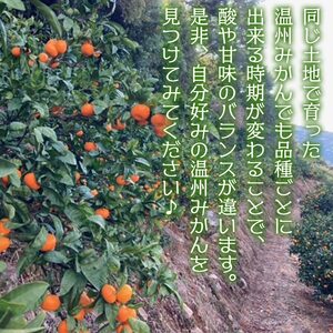 ＜定期便3回 でん助農園の温州みかんリレー 家庭用 合計約30kg＞ 果物 フルーツ ミカン オレンジ 柑橘類 極早生 早生 中生 南柑20号 自宅用 国産 特産品 食べて応援 産地直送 西宇和産 愛