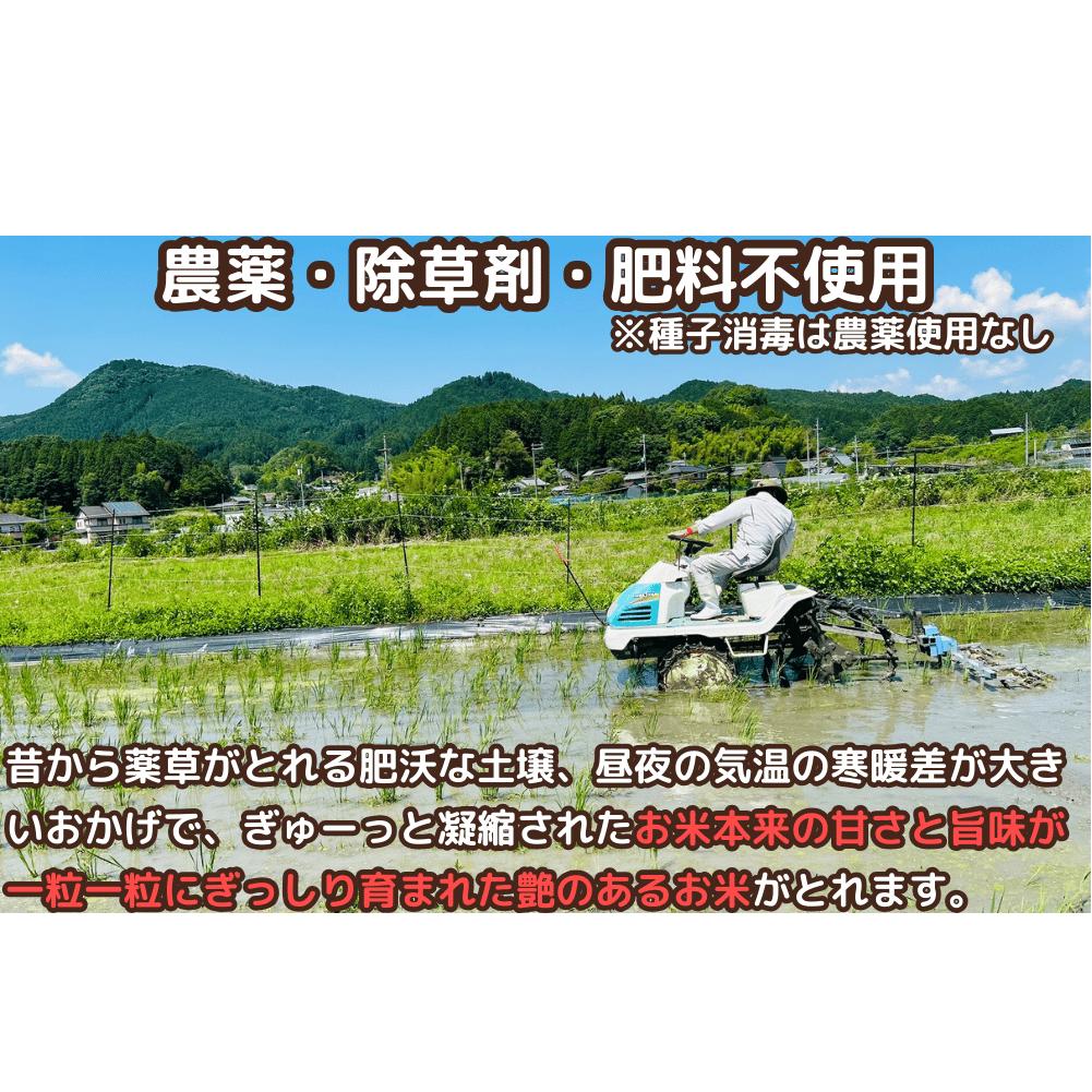 先行予約販売★自然栽培米★新米【令和6年産】玄米　 奥大和高原米3kg ９月末より順次発送,自然栽培米,新米,令和6年産,玄米,奥大和高原米,農家やまおか,無農薬,国産,お米,奈良県,宇陀市無農薬_イ