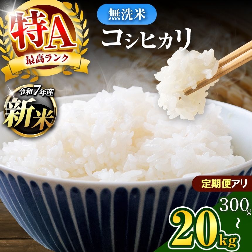 【ふるさと納税】新 米 無洗米 コシヒカリ 令和7年産 千葉県産 選べる容量 回数 9月上旬以降発送 定期 3回 | 新米 コメ こめ お米 白米 ふっくら もちもち こしひかり おにぎり お弁当 千葉ふるさと蔵 イチオシ 千葉県 小分け 人気
