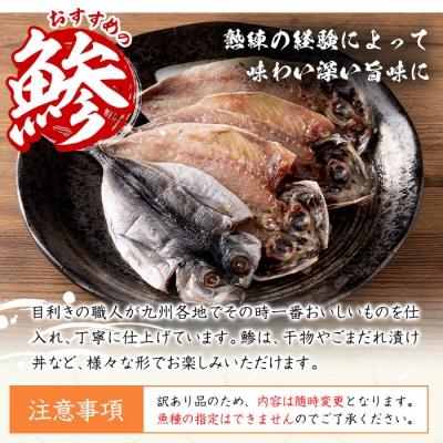 ふるさと納税 佐伯市 <訳あり>干物 バラエティセット (8種) |  | 01