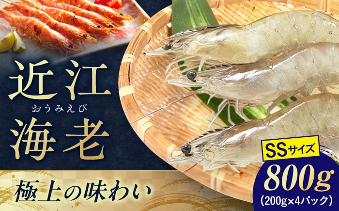 
            近江海老 SSサイズ 800g 滋賀県長浜市/ワボウ電子株式会社 [AQBA006] エビ 海老 えび 海鮮 魚介類 魚貝類 魚介 下処理不要 冷凍 業務用 小分け 国産 刺身 刺し身  近江海老 新鮮 直送 高級 名産 ぷりぷり 甘い 刺身 天ぷら 海鮮丼 鍋料理 海老しゃぶ 魚介 贈答用 人気 特産 料理素材 お取り寄せ 地元産 丸ごと
          