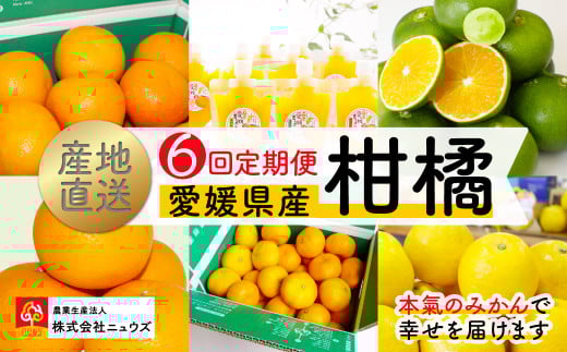【数量限定】 【6回定期便】産地直送！愛媛県産柑橘 【 ふるさと納税 人気 おすすめ ランキング みかん ミカン 蜜柑 いよかん 清見タンゴール ジューシーフルーツ 愛媛まるごとゼリー 極早生みかん 温州みかん 定期便 フルーツ 果物 産地直送 ニュウズ 愛媛県産 愛媛県 伊方町 送料無料 】 IKTF006