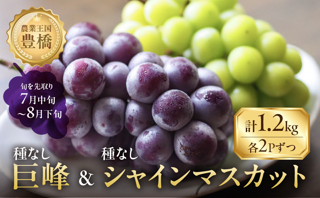 
            ≪先行予約≫たっぷり1.2kg 豊橋産 皮ごと 種なしシャインマスカット300ｇ×2 種無し巨峰300ｇ×2 ブドウ ぶどう マスカット フルーツ 甘い 1.2キロ 果物  詰め合わせ  食べ比べ 8月お届け
          