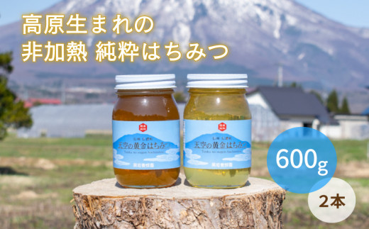 非加熱 純国産100％『天空の黄金はちみつ』 百花蜜・アカシヤ （600g×２個セット） 肉料理・お菓子・ヨーグルトに！ 【長野県 信州 信濃町ふるさと納税／黒姫養蜂園】