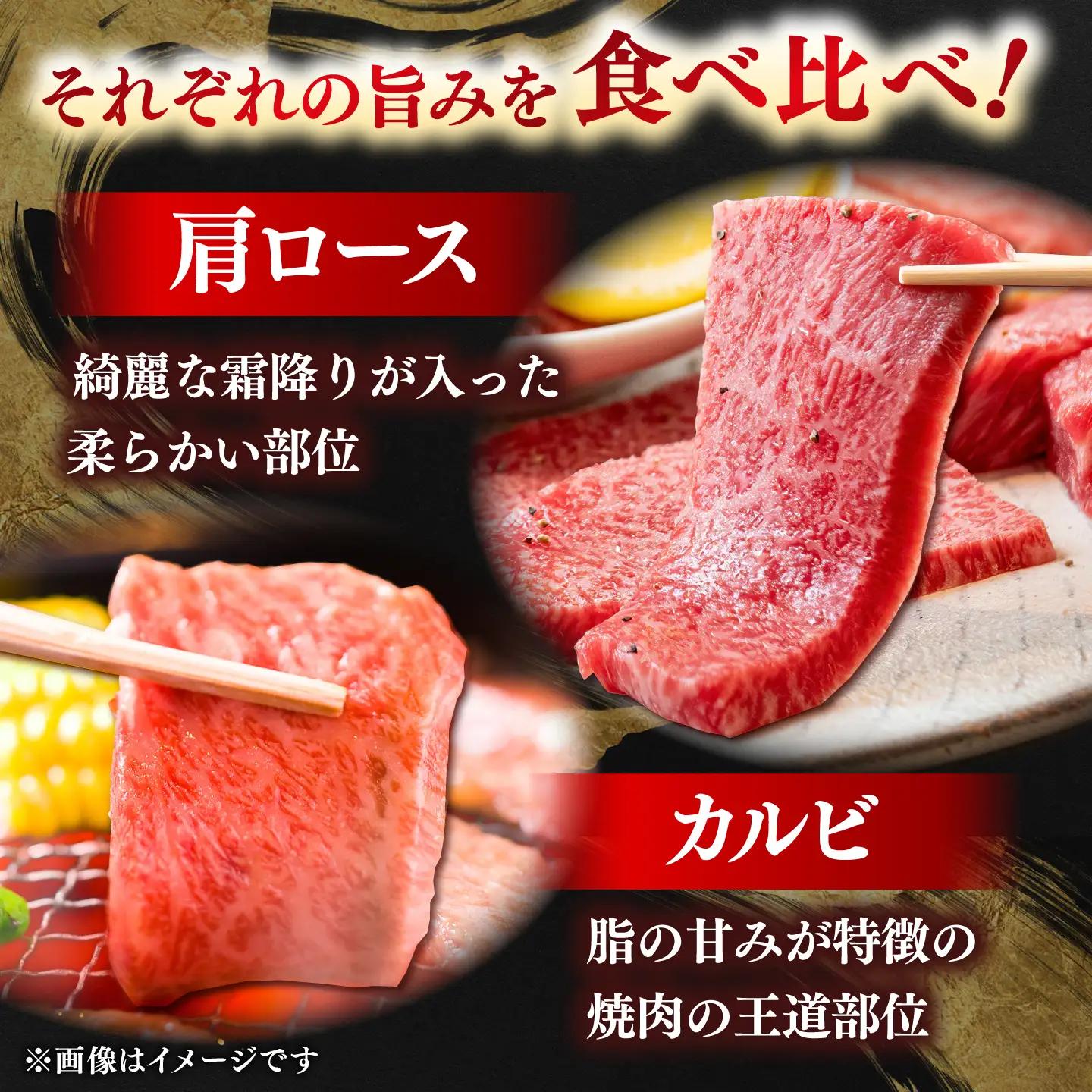 しまね和牛焼肉用2種盛り セット 肩ロース・カルビ 各280g 牛肉 牛肉 [AIDI022]