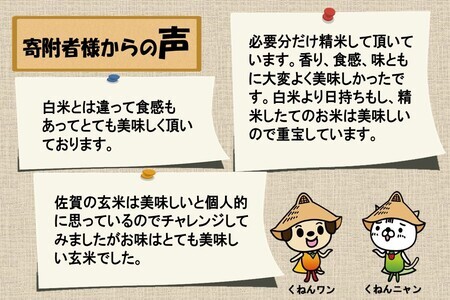 【令和7年産】さがびより 玄米 5kg【10ヶ月定期便】農園(H061B32)