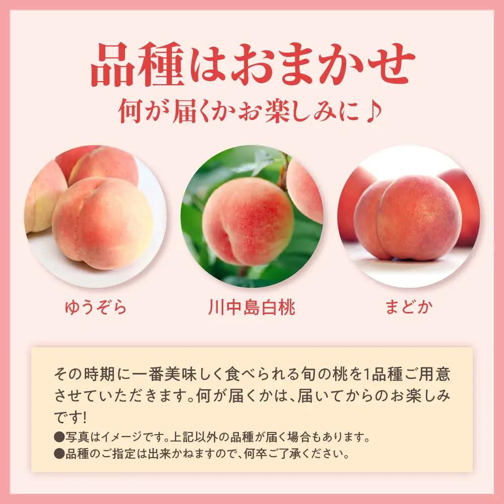先行予約 数量限定 令和8年産 もも 約2kg 品種 おまかせ 桃