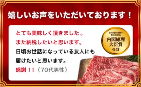 長崎和牛 鉄板焼（ウデ・モモ） 約500g / 肉 長崎 焼肉 お手頃 牛肉 すき焼き 長崎和牛セット 鉄板焼き肉 国産牛焼肉 国産肉 和牛 国産和牛 焼肉 牛肉 高級肉食べ比べ 人気和牛食べ比べ 和