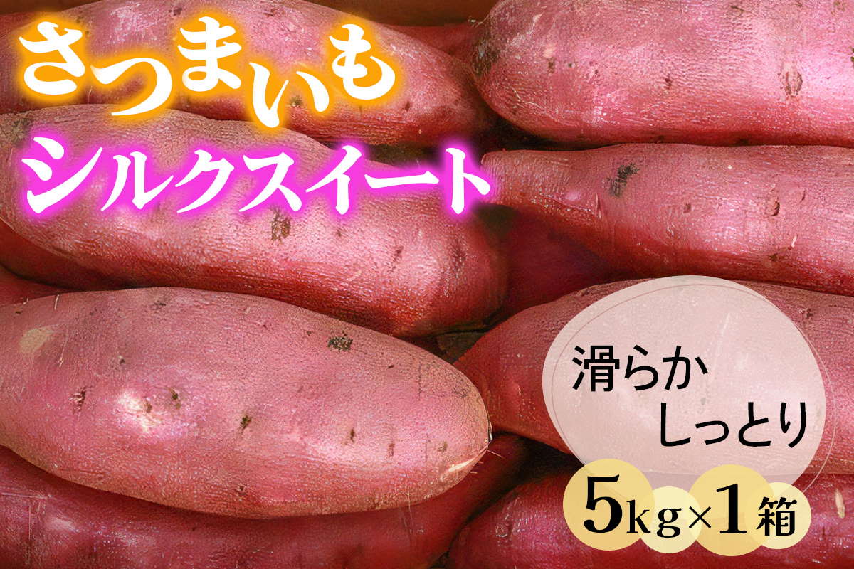 
            さつまいも (シルクスイート) 5kg 奥野農園｜農家 直送 サツマイモ スイーツ 野菜 しっとり ホクホク 焼き芋 やきいも 料理 袖ケ浦 千葉 [0422ch]
          
