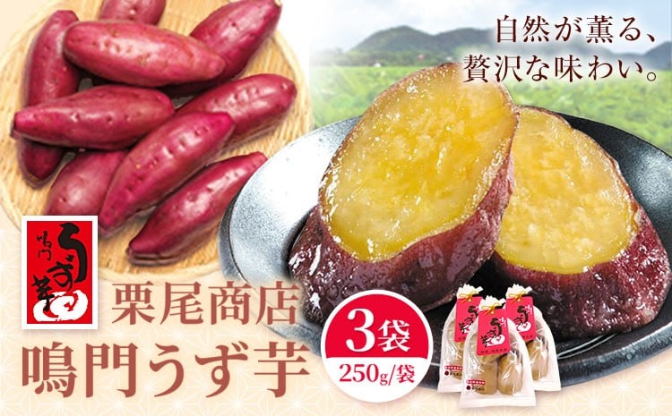 
                  和菓子 鳴門うず芋 3袋(1袋当たり250g) 有限会社栗尾商店《2025年10月上旬-2026年5月末頃出荷》徳島県 美馬市 芋 鳴門金時 芋菓子 和菓子 お茶菓子 おやつ 送料無料
                
