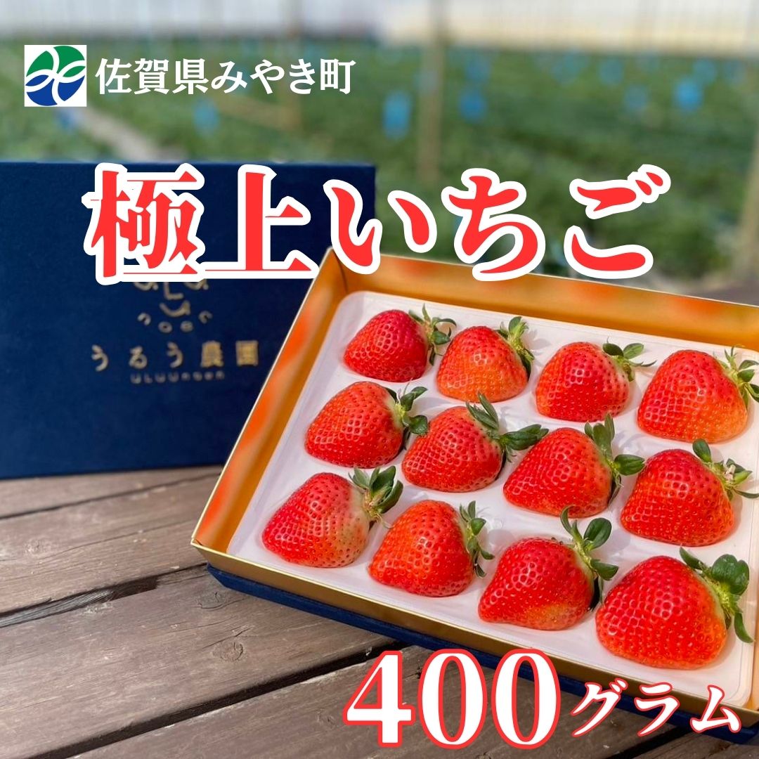 【ふるさと納税】【2025年11月中旬～2026年4月発送】極上いちご 400g（GF005）