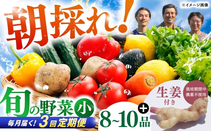 
            【3回定期便】 土佐の太陽をいっぱいに浴びた旬の野菜生姜約100gのセット「小」 【土佐野菜】 [ATBA011]
          