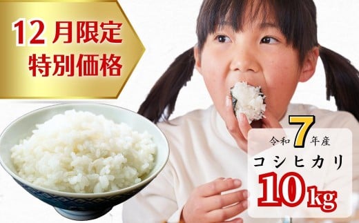 
            《12月限定特別価格》白米 10kg 令和7年産 コシヒカリ 岡山 あわくら源流米 K-ag-AEHA
          