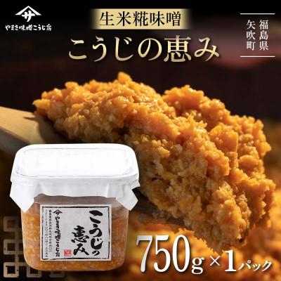 ふるさと納税 矢吹町 糀が生きてる生米糀味噌「こうじの恵み」750g
