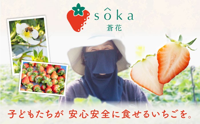 いちご イチゴ 苺 1kg 1キロ ゆめのか 恋みのり 2種 ミックス 詰め合わせ セット バラ バラ詰め 家庭用