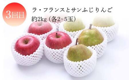 2026年度発送【定期便 3回】山形県産 実は人気な果物定期便 くだもの フルーツ さくらんぼ 紅秀峰 桃 もも ラ・フランス ラフランス 洋梨 梨 りんご サンふじ 山形県 中山町 F4A-0419