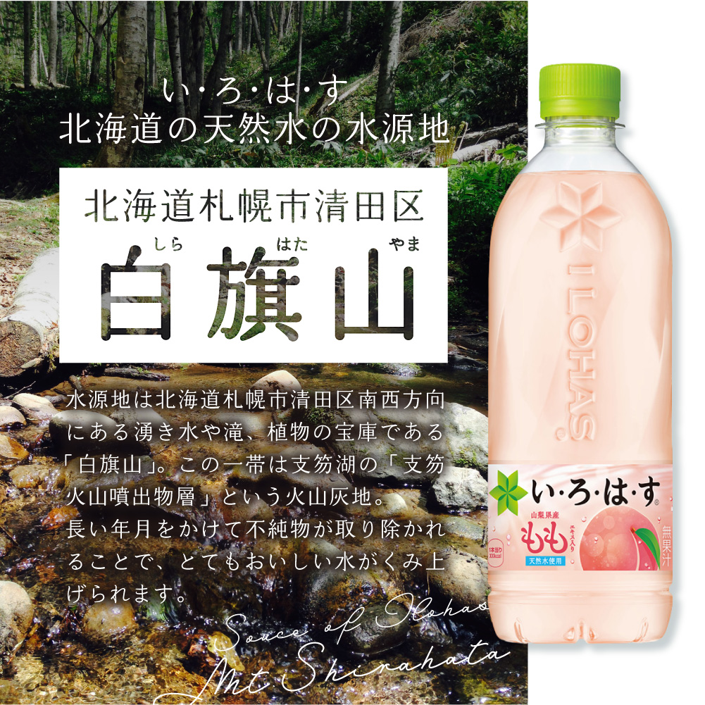 【２ヶ月定期便】い・ろ・は・す もも　540mlPET×24本｜コカ・コーラ 飲料 水 桃 フレーバー いろはす 北海道 札幌市