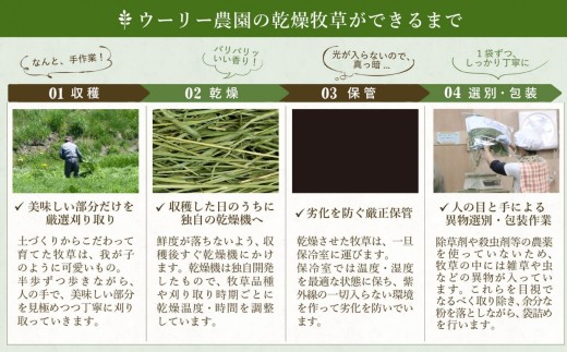 【うさぎ用 国産牧草】WOOLY ウーリー農園 イタリアンライグラス＆ティモシー ブレンド 400g×1袋 八ヶ岳産 ふるさと納税限定 数量限定 ペットフード うさぎ 牧草 ウサギ 餌 長野県富士見町