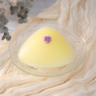ふるさと納税 朝霞市 人工乳房 すみれパッド・Lサイズ
