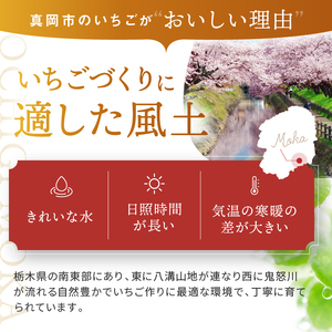 【2027年先行予約受付中！】鮮度抜群 とちあいか 2箱 (290g×4) 1160g