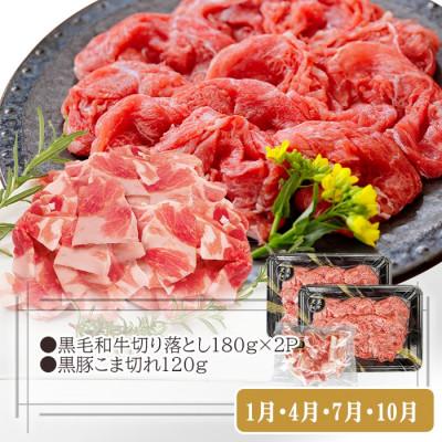 ふるさと納税 枕崎市 定期便3回配送　お楽しみバラエティー　OO-0004 |  | 01