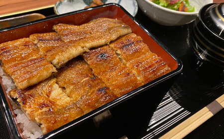 高知焼き鰻蒲焼1尾