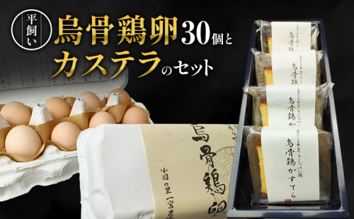 卵 カステラ 静岡 平飼い烏骨鶏の卵30個とカステラのセット たまご 鶏卵 カステラ 和菓子 静岡県 森町