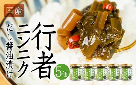 ピリッと旨い！ご飯のお供 ！行者ニンニクだし醤油漬け 5個 おつまみ ごはん おかず 米 [Q2799]