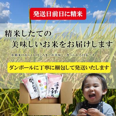 ふるさと納税 盛岡市 【2025年2月上旬発送】3種食べ比べ【銀河のしずく・ひとめぼれ・あきたこまち】【各5kg盛岡市産 |  | 03